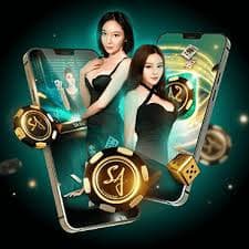 Roulette wheel spin on fangwin88 login Bikini Paradise studio